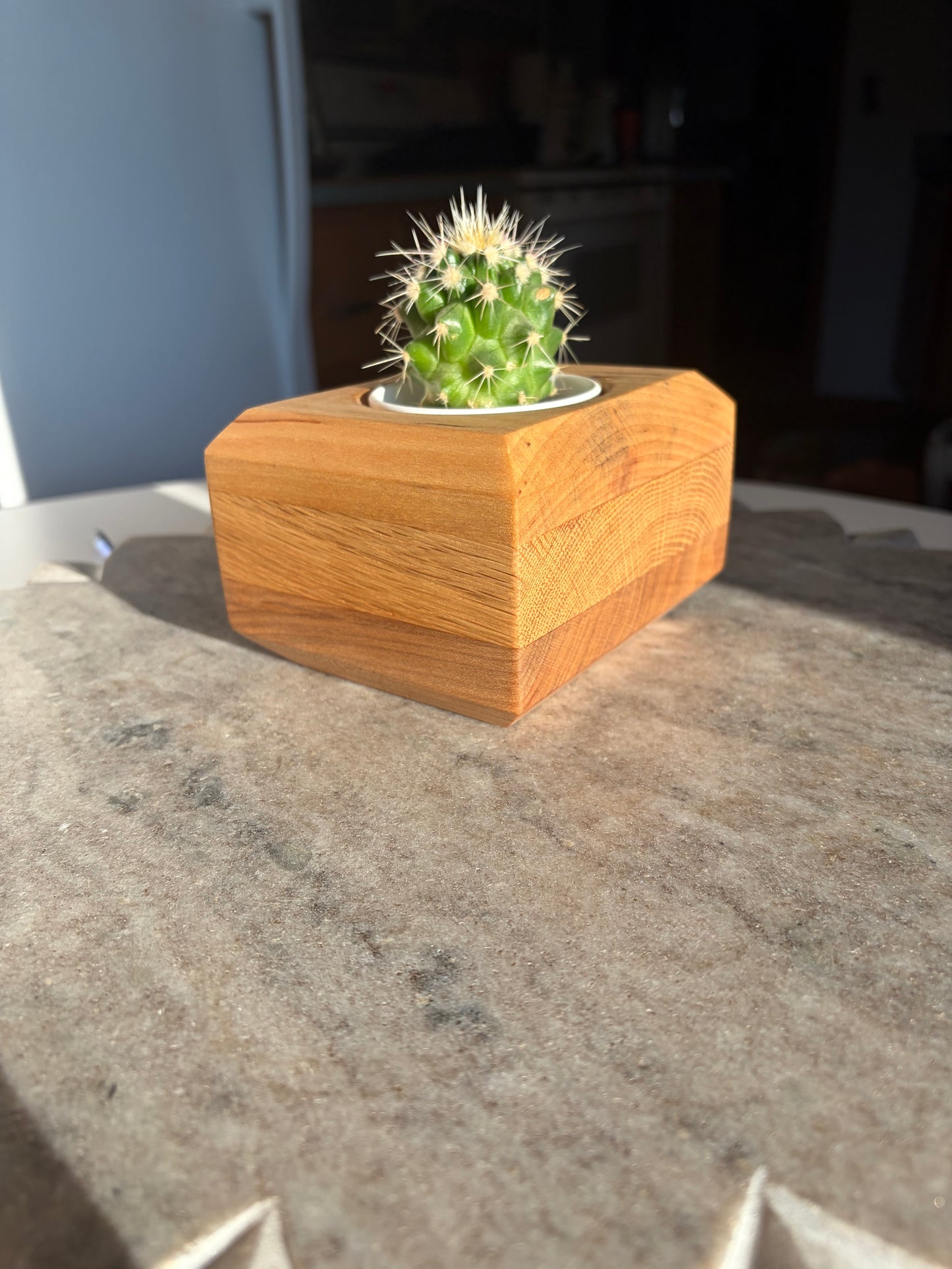Maple, White Oak & Yellow Birch Succulent Planter – 2.5” Pot Insert