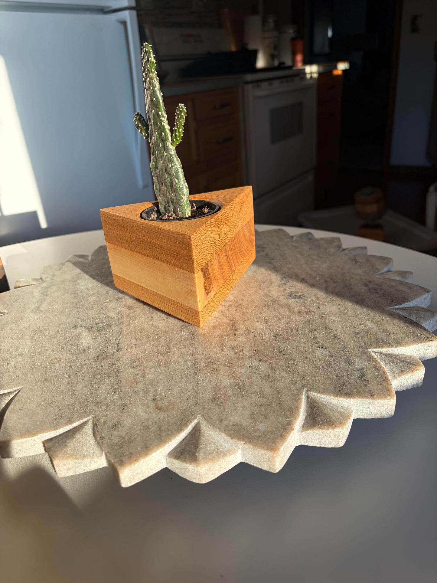 White Oak & Maple Succulent Planter – 2.5” Pot Insert