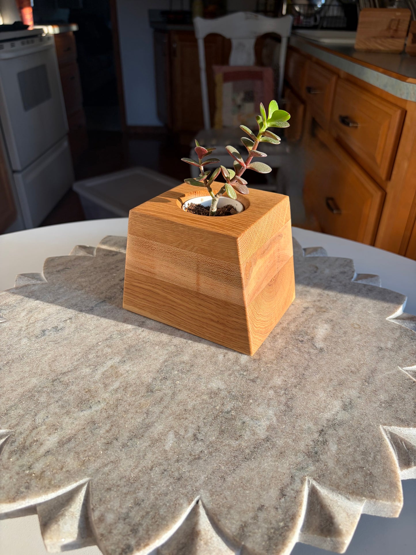 Burr Oak, Maple & White Oak Succulent Planter - 2" Pot Insert