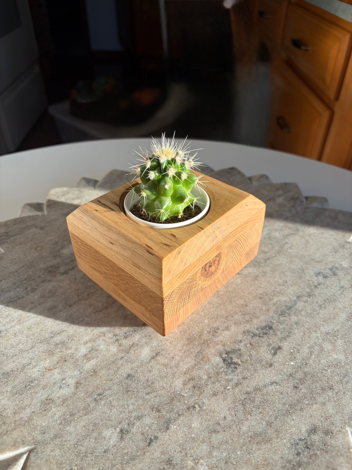 Maple, White Oak & Yellow Birch Succulent Planter – 2.5” Pot Insert