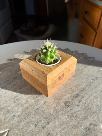 Maple, White Oak & Yellow Birch Succulent Planter – 2.5” Pot Insert