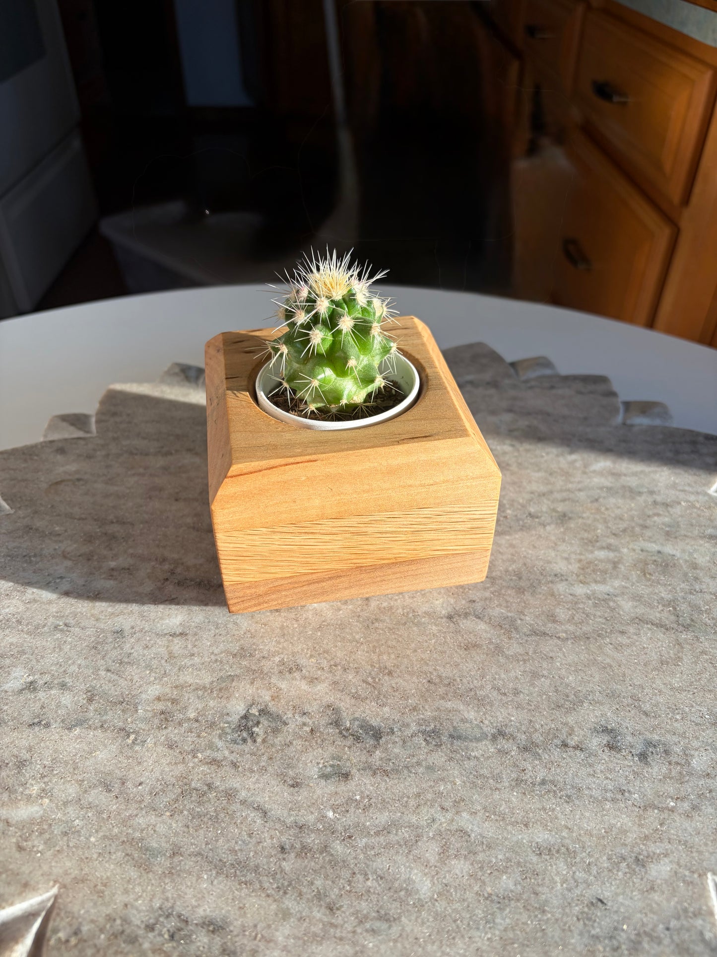 Maple, White Oak & Yellow Birch Succulent Planter – 2.5” Pot Insert
