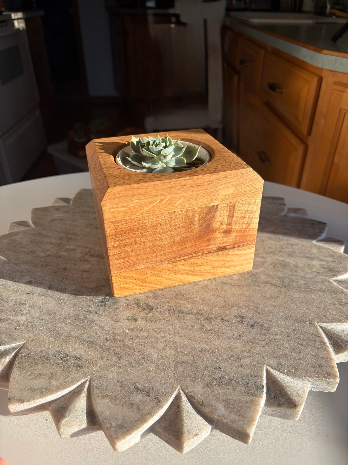 Burr Oak, Maple & White Oak Succulent Planter – 3.5” Pot Insert