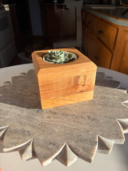 Burr Oak, Maple & White Oak Succulent Planter – 3.5” Pot Insert
