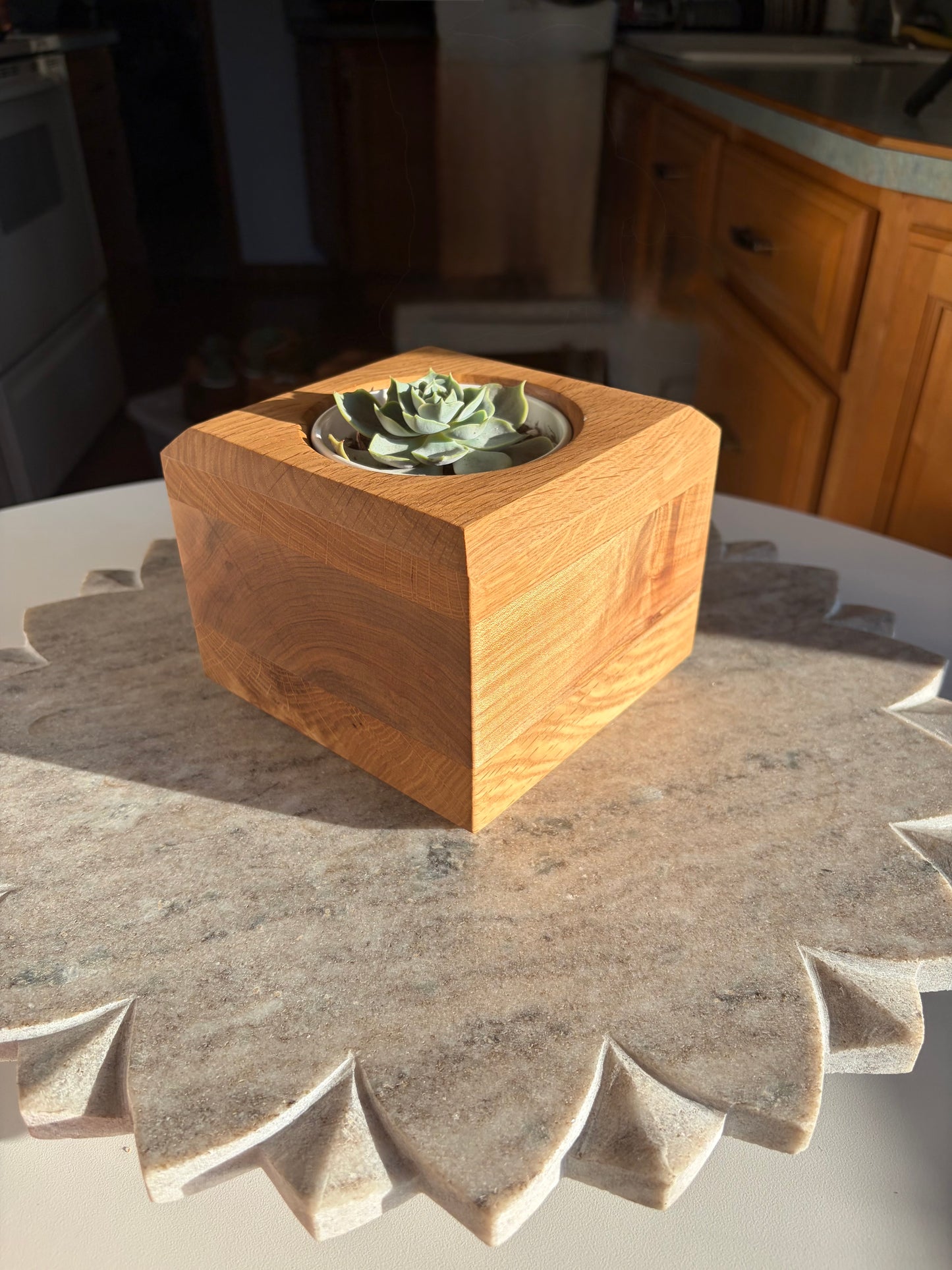 Burr Oak, Maple & White Oak Succulent Planter – 3.5” Pot Insert