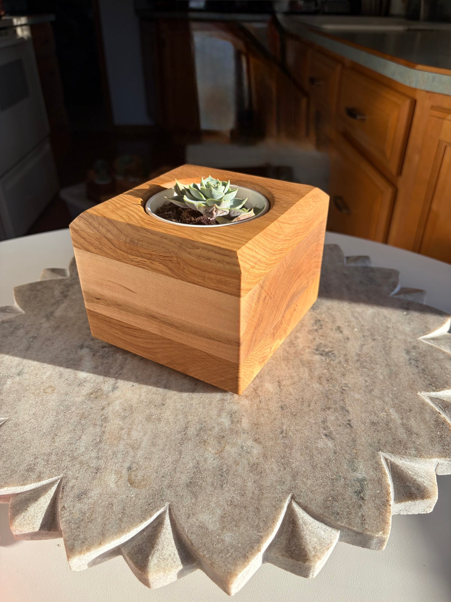 Burr Oak, Maple & White Oak Succulent Planter – 3.5” Pot Insert