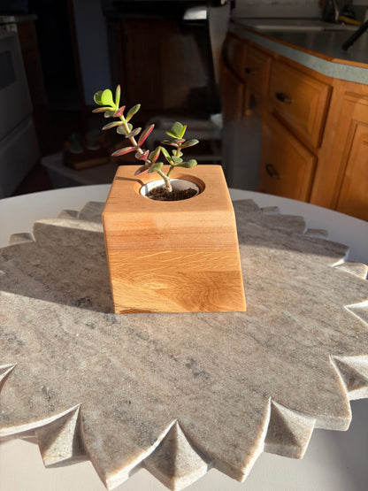 Burr Oak, White Oak & Maple Succulent Planter – 2” Pot Insert