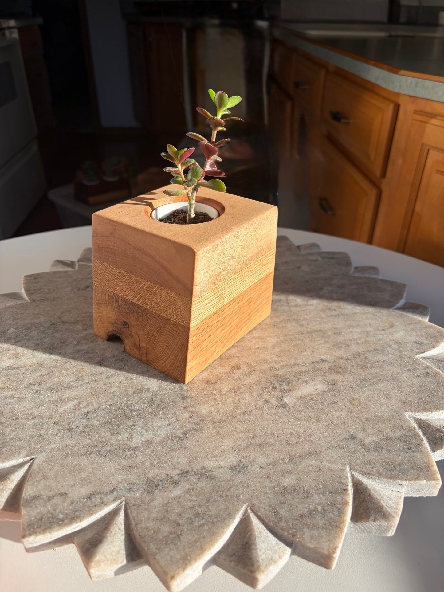 Burr Oak, White Oak & Maple Succulent Planter – 2” Pot Insert