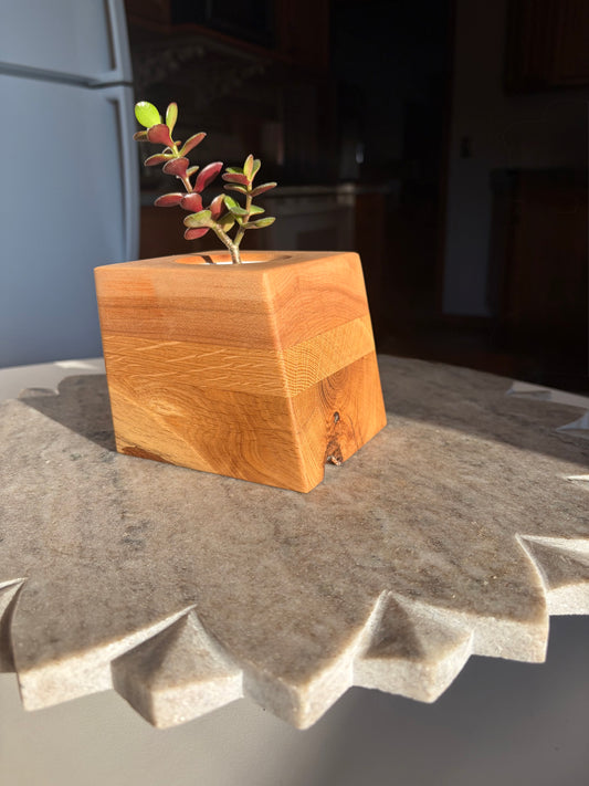 Burr Oak, White Oak & Maple Succulent Planter – 2” Pot Insert