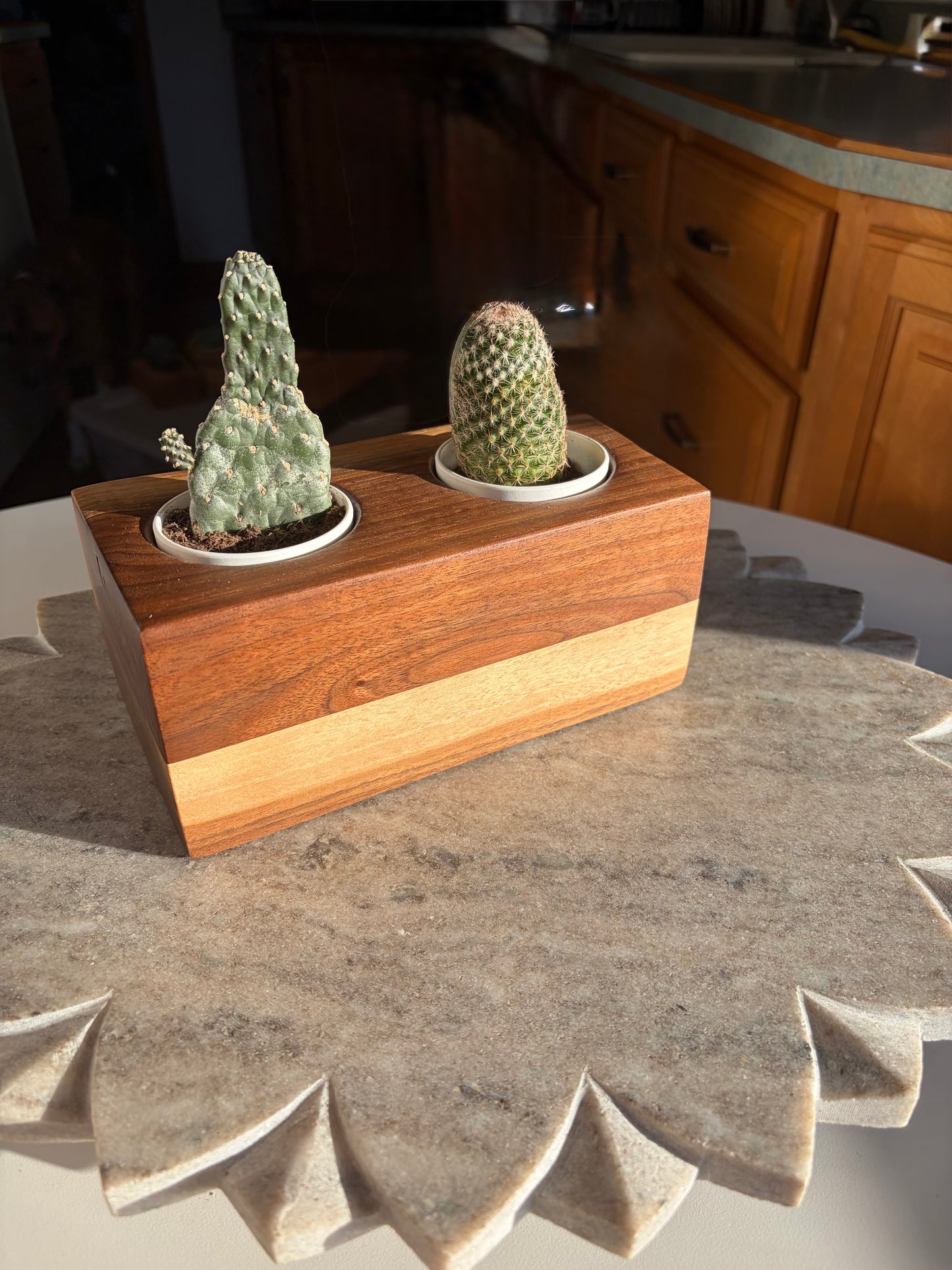 Black Walnut Succulent Planter – Double 2.5” Pot Insert