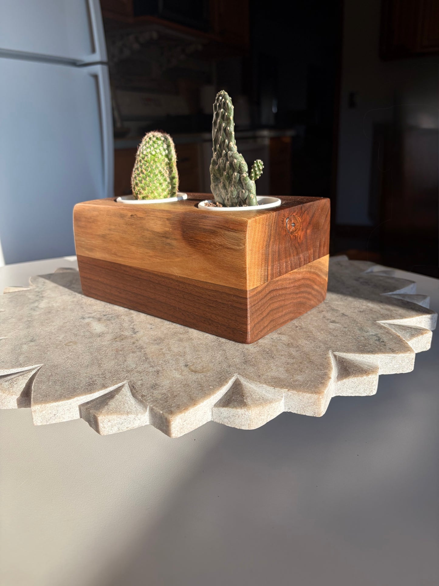 Black Walnut Succulent Planter – Double 2.5” Pot Insert