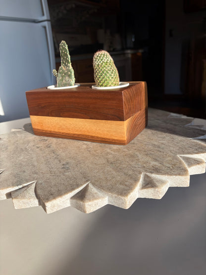 Black Walnut Succulent Planter – Double 2.5” Pot Insert