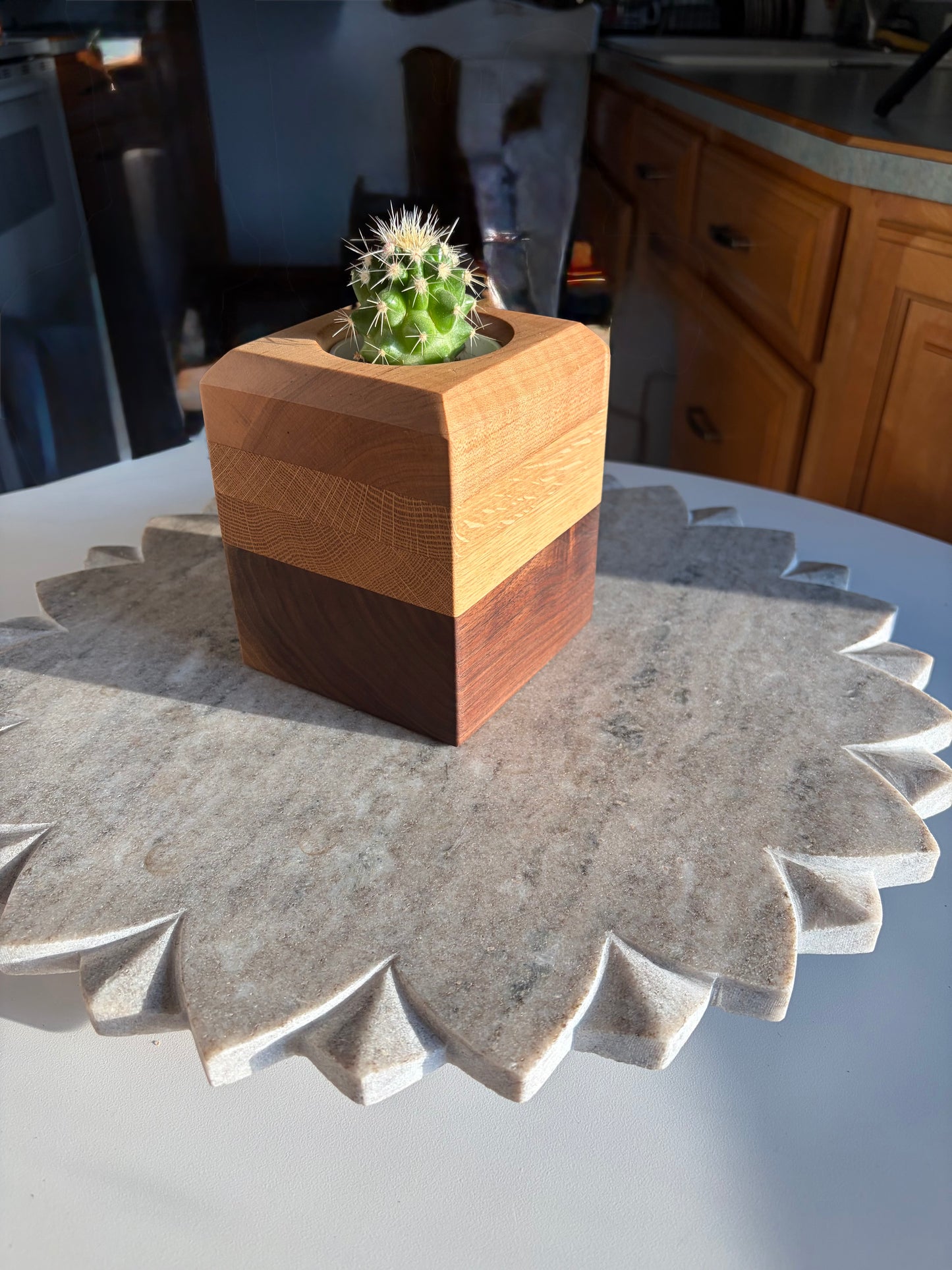 Black Walnut, White Oak & Maple Succulent Planter - 2.5" Pot Insert