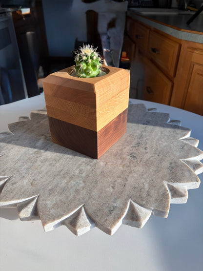 Black Walnut, White Oak & Maple Succulent Planter - 2.5" Pot Insert