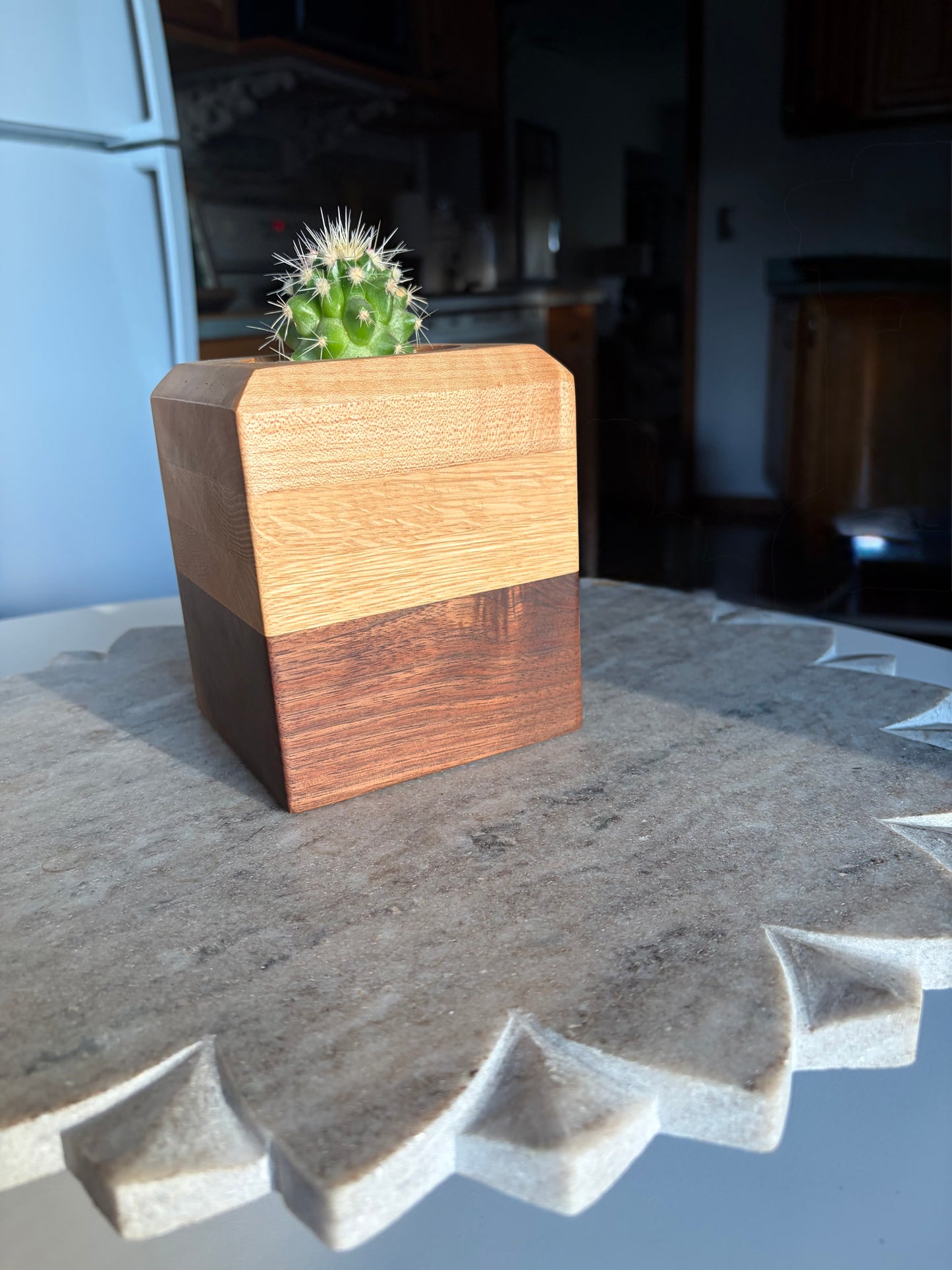 Black Walnut, White Oak & Maple Succulent Planter - 2.5" Pot Insert