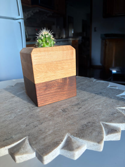 Black Walnut, White Oak & Maple Succulent Planter - 2.5" Pot Insert