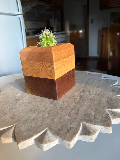 Black Walnut, White Oak & Maple Succulent Planter - 2.5" Pot Insert
