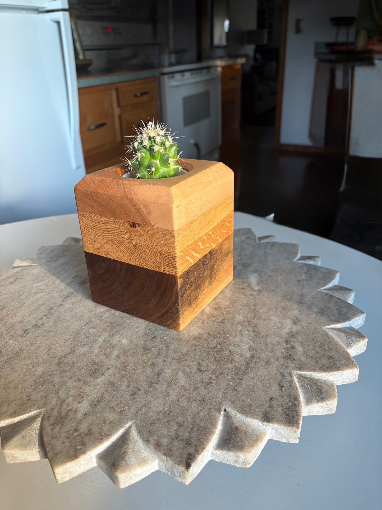 Black Walnut, White Oak & Maple Succulent Planter - 2.5" Pot Insert