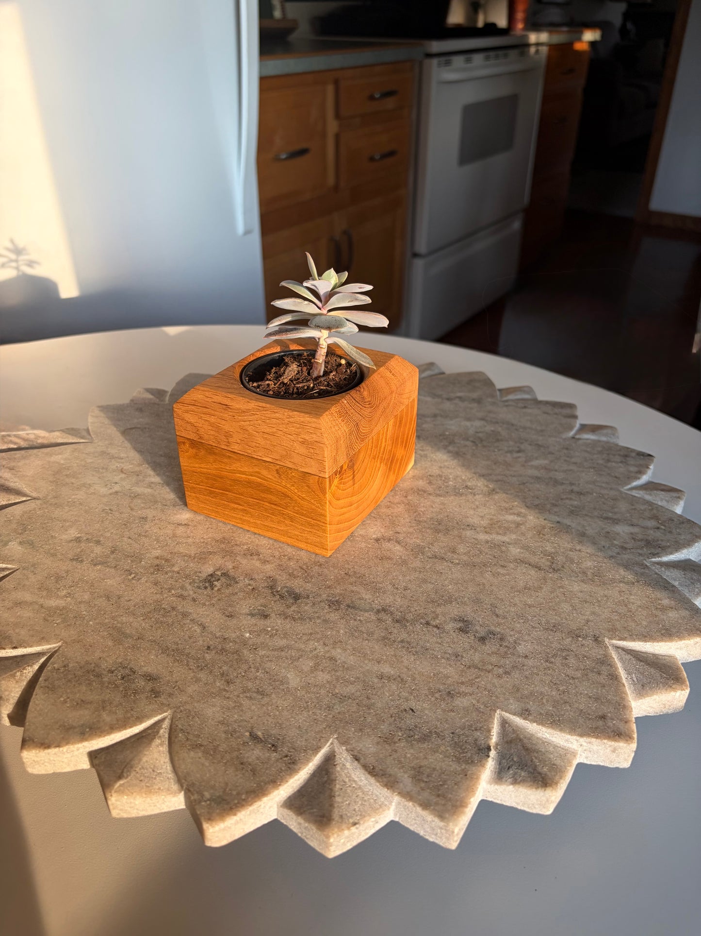 White Mulberry & White Oak Succulent Planter – 2.5” Pot Insert