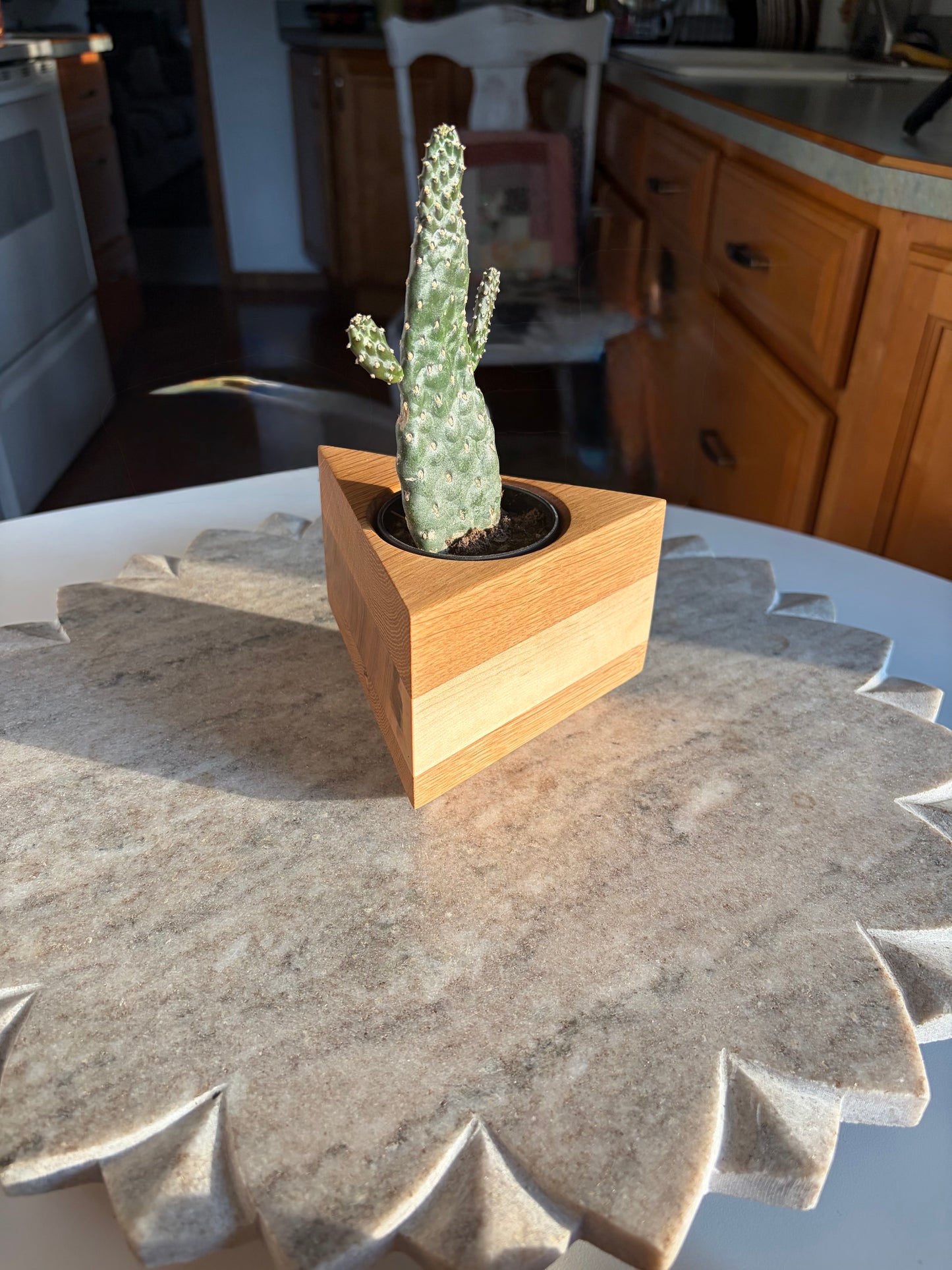 White Oak & Maple Succulent Planter – 2.5” Pot Insert