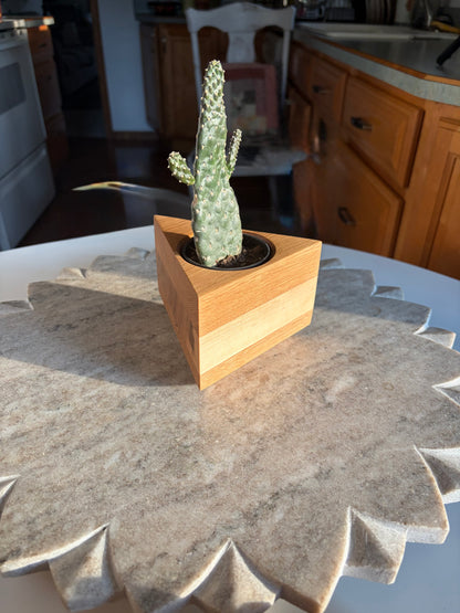 White Oak & Maple Succulent Planter – 2.5” Pot Insert