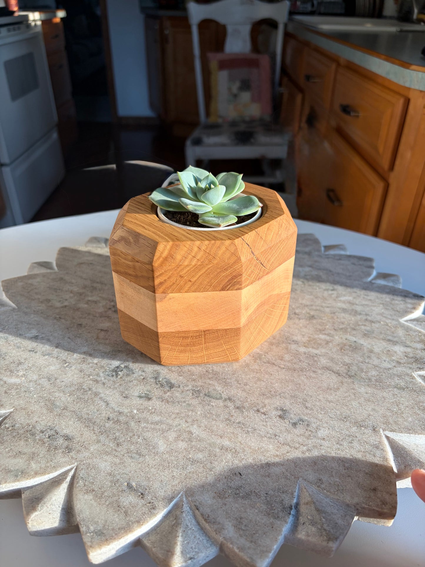 Burr Oak, Maple & White Oak Succulent Planter - 3" Pot Insert