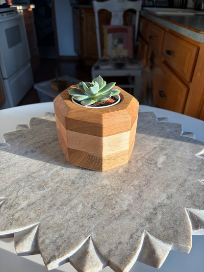 Burr Oak, Maple & White Oak Succulent Planter - 3" Pot Insert