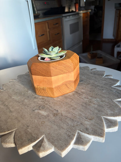 Burr Oak, Maple & White Oak Succulent Planter - 3" Pot Insert