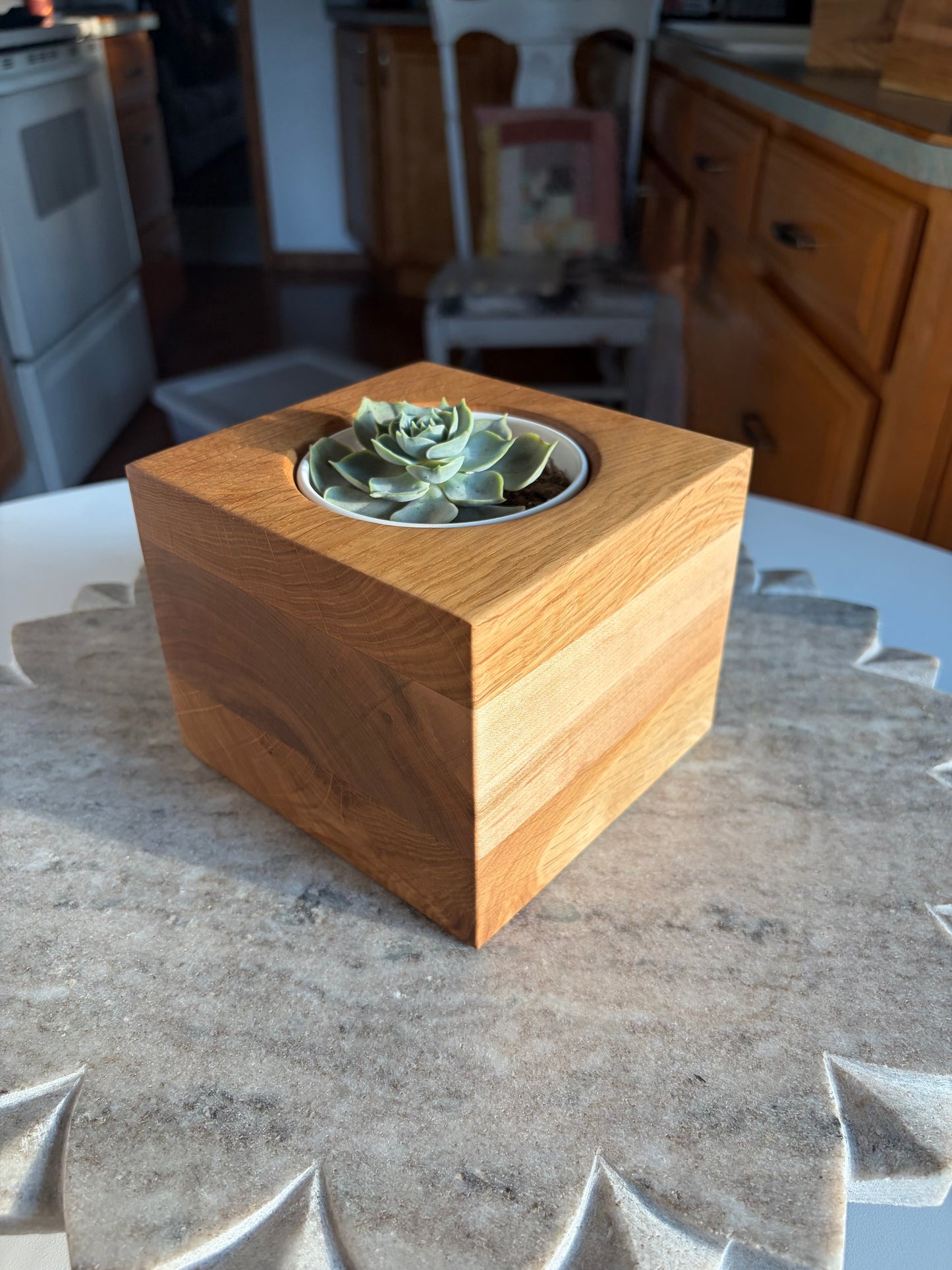 Burr Oak, White Oak & Maple Succulent Planter - 3.5" Pot Insert