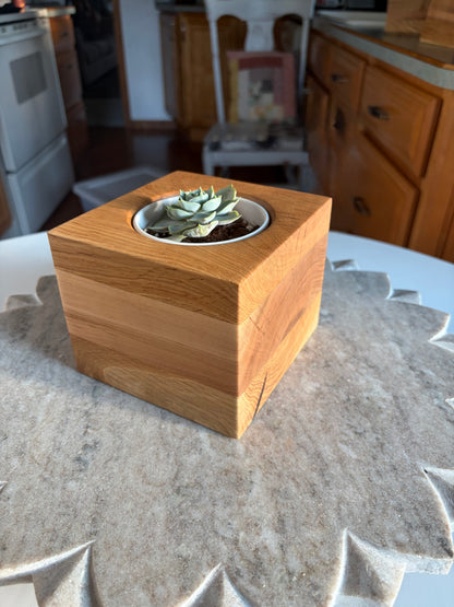 Burr Oak, White Oak & Maple Succulent Planter - 3.5" Pot Insert
