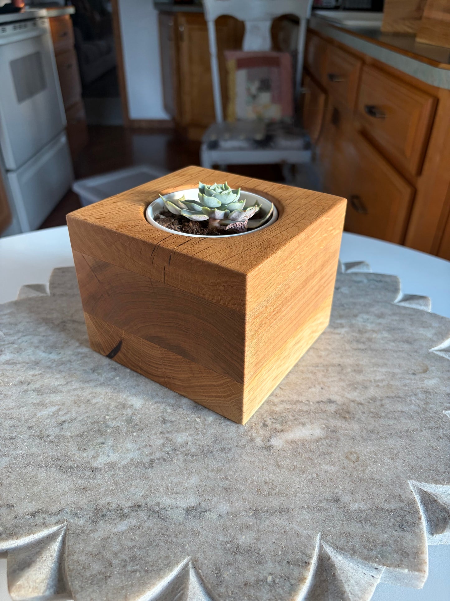 Burr Oak, White Oak & Maple Succulent Planter - 3.5" Pot Insert