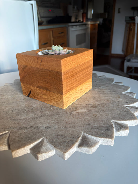 Burr Oak, White Oak & Maple Succulent Planter - 3.5" Pot Insert