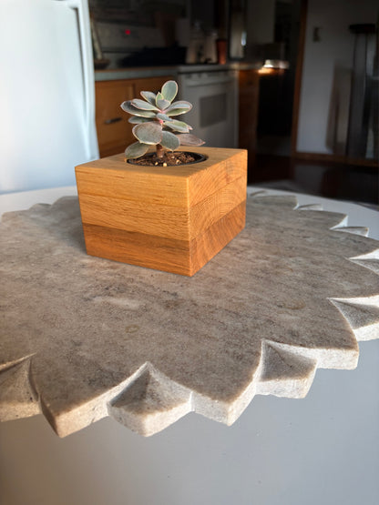 Yellow Birch, White Oak & Maple Succulent Planter – 2.5” Pot Insert