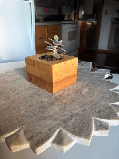 Yellow Birch, White Oak & Maple Succulent Planter – 2.5” Pot Insert