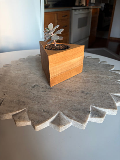 White Oak & Maple Succulent Planter – 2.5” Pot Insert